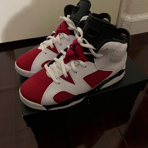 Jordan Carmine 6